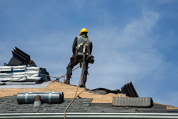 Professional Storm Damage Roof Repair technician working in Scandia, MN